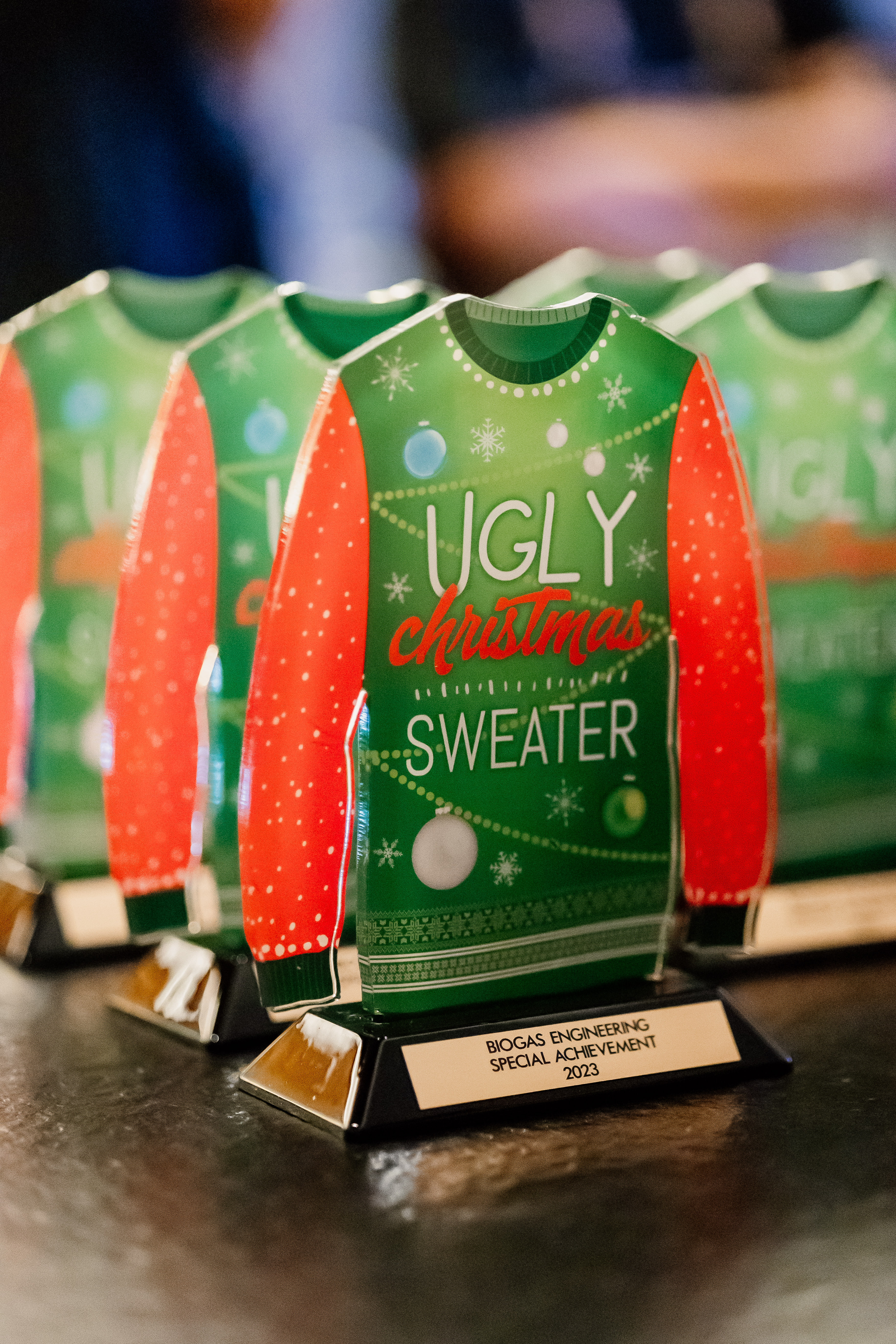 About Biogas Engineering